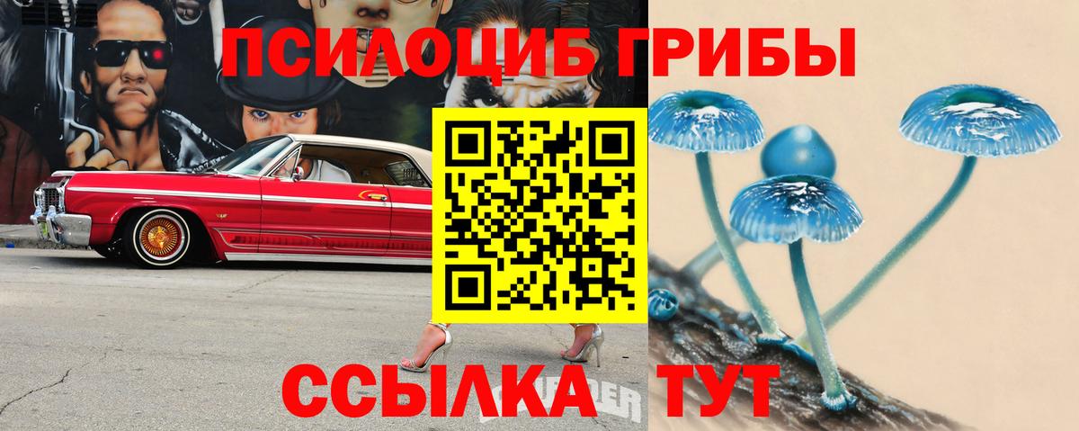 Галлюциногенные грибы MAGIC MUSHROOMS  Вход с VPN  Менделеевск 